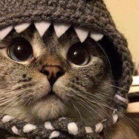 Владимир Алексеев