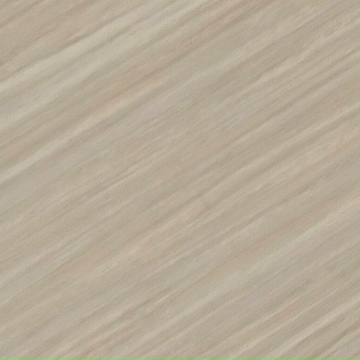 Василий Василев